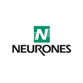 Neurones